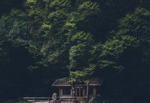 Major Network is Anouncing Another Modelling TV Show This Fall