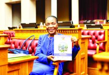 The 2026/27 national budget: What you need to know.