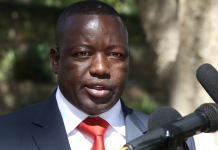 MP calls for stricter gun legislation